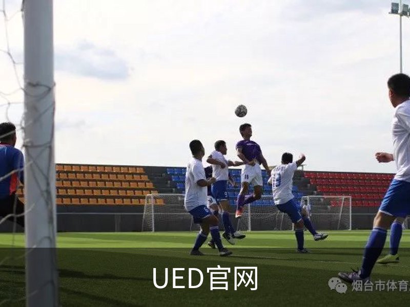 UED官网概况